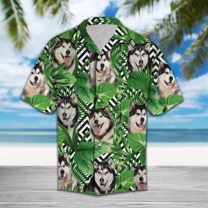 Summer exotic jungle tropical Alaskan Malamute H97066 - Hawaii Shirt