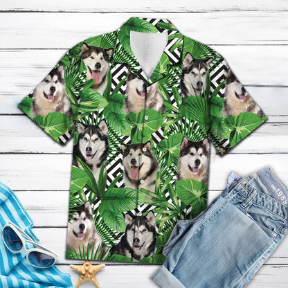 Summer exotic jungle tropical Alaskan Malamute H97066 - Hawaii Shirt