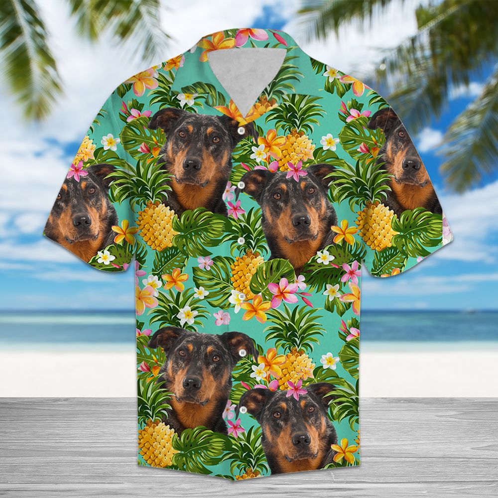 Tropical Pineapple Beauceron H137072 - Hawaii Shirt