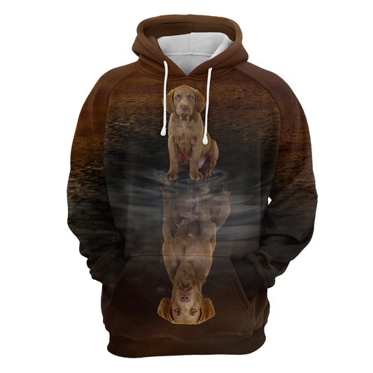 Cute Chesapeake Bay Retriever Reflection H22417 - All Over Print Unisex Hoodie