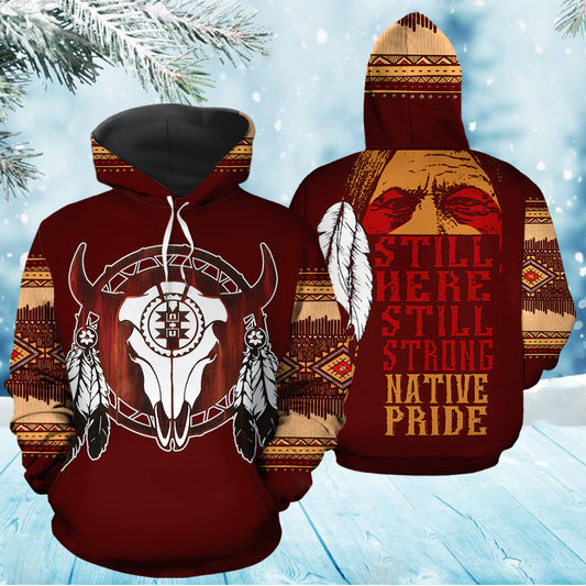Native Skull TY0312 unisex womens & mens, couples matching, friends, funny family sublimation 3D hoodie christmas holiday gifts (plus size available)