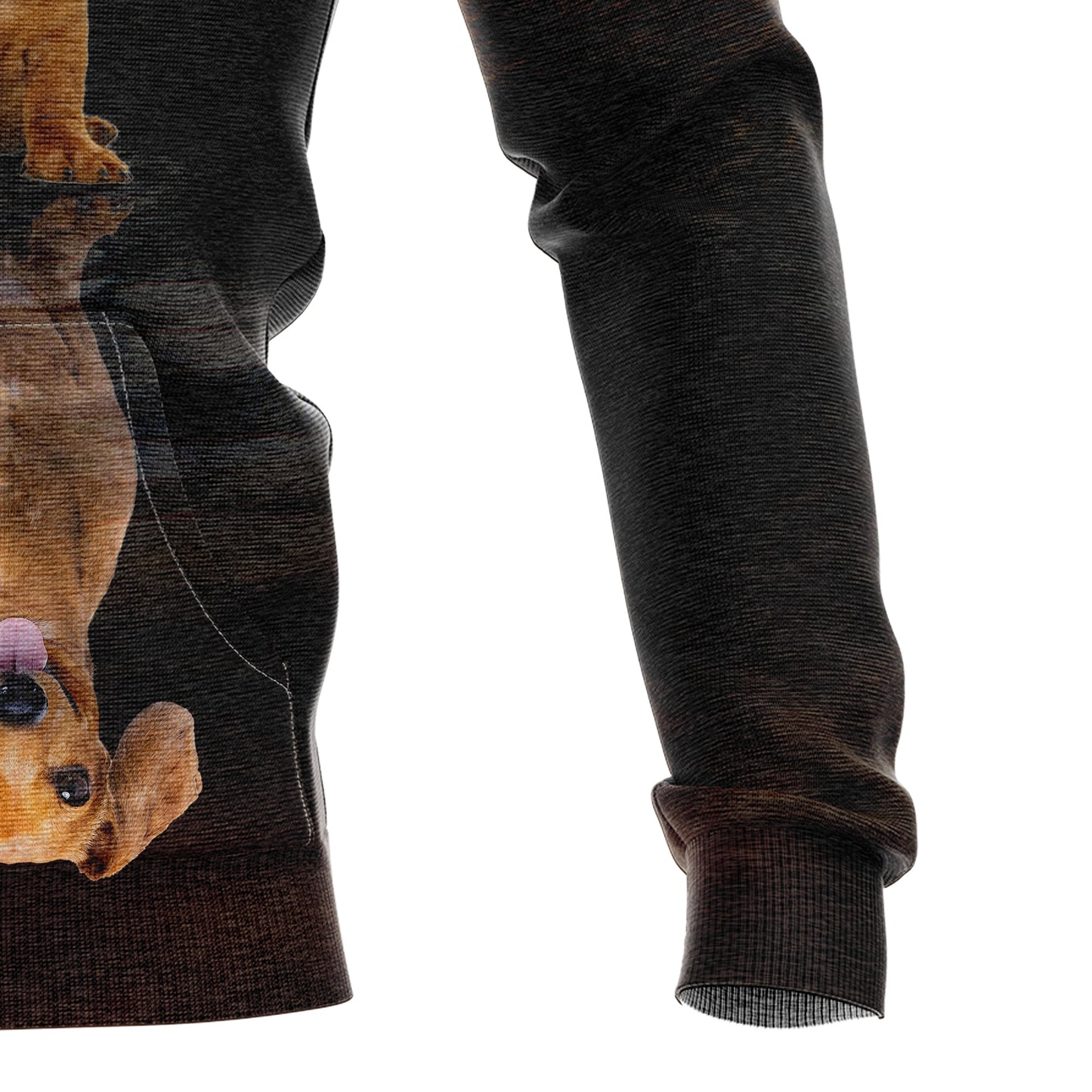 Cute Dachshund Reflection H22419 All Over Print Unisex Hoodie