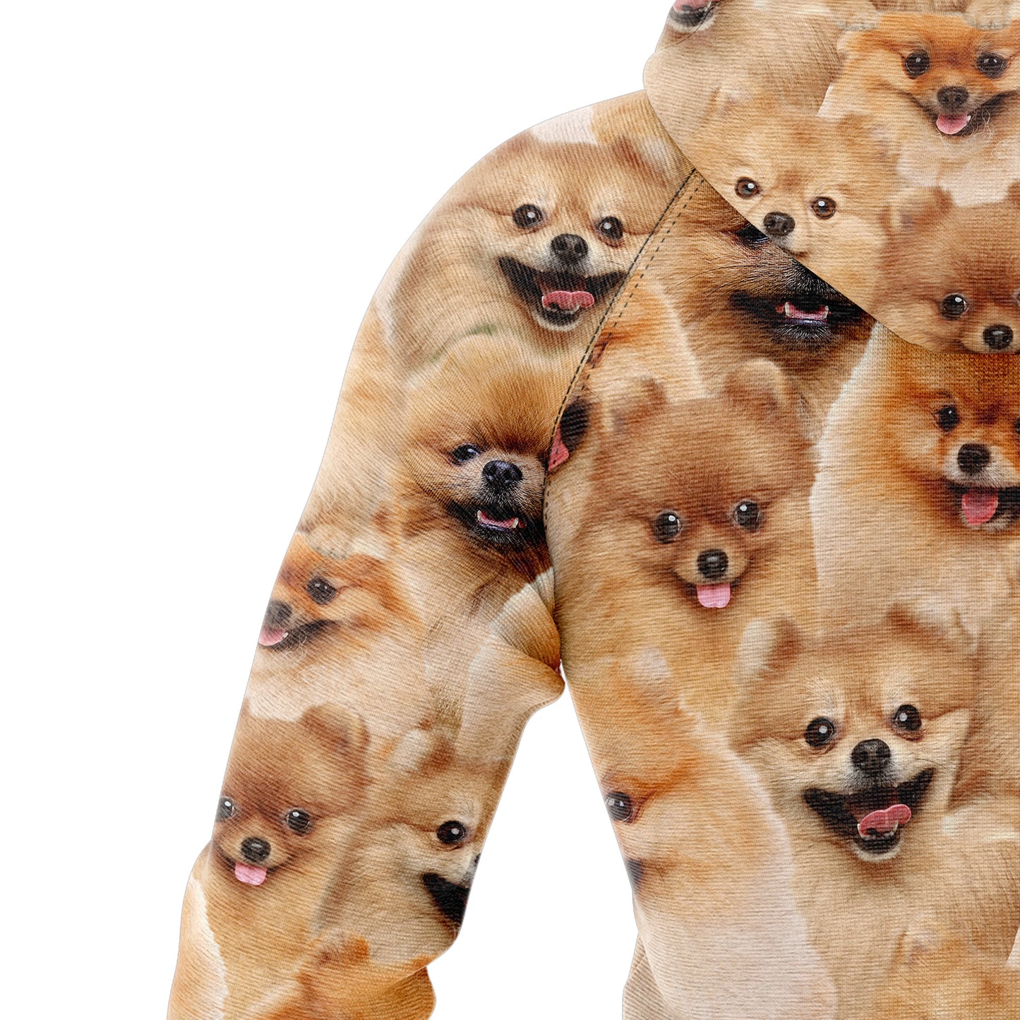 Pomeranian Awesome D254 All Over Print Unisex Hoodie