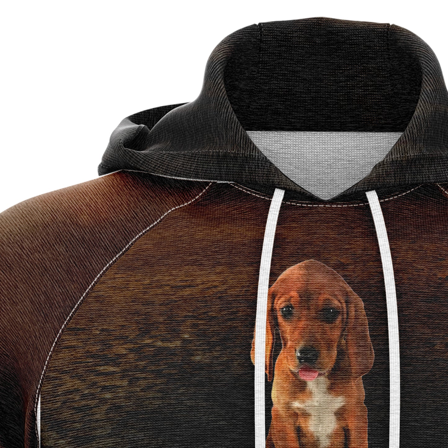 Redbone Coonhound Reflection Dog H22435 All Over Print Unisex Hoodie