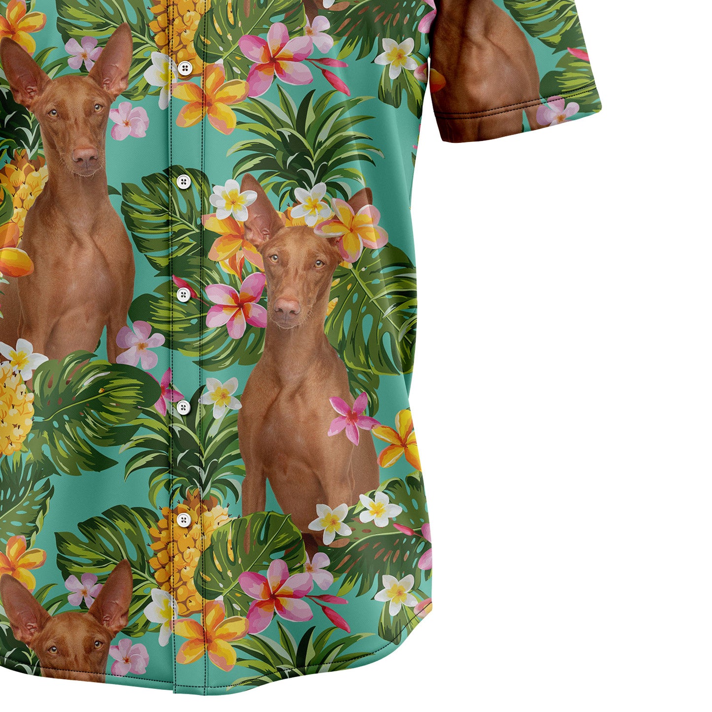 Tropical Pineapple Pharaoh Hound H97089 Hawaiian Shirt