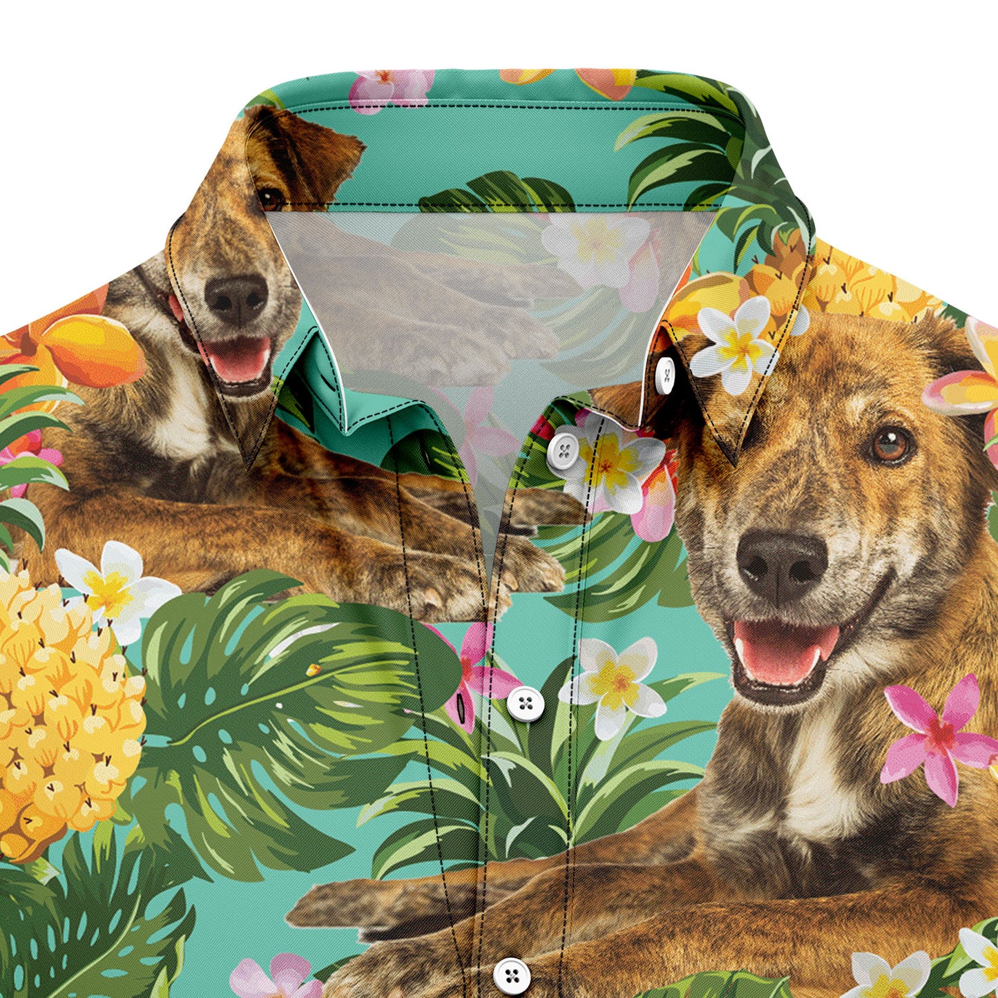 Tropical Pineapple Plott Hound H97082 Hawaiian Shirt