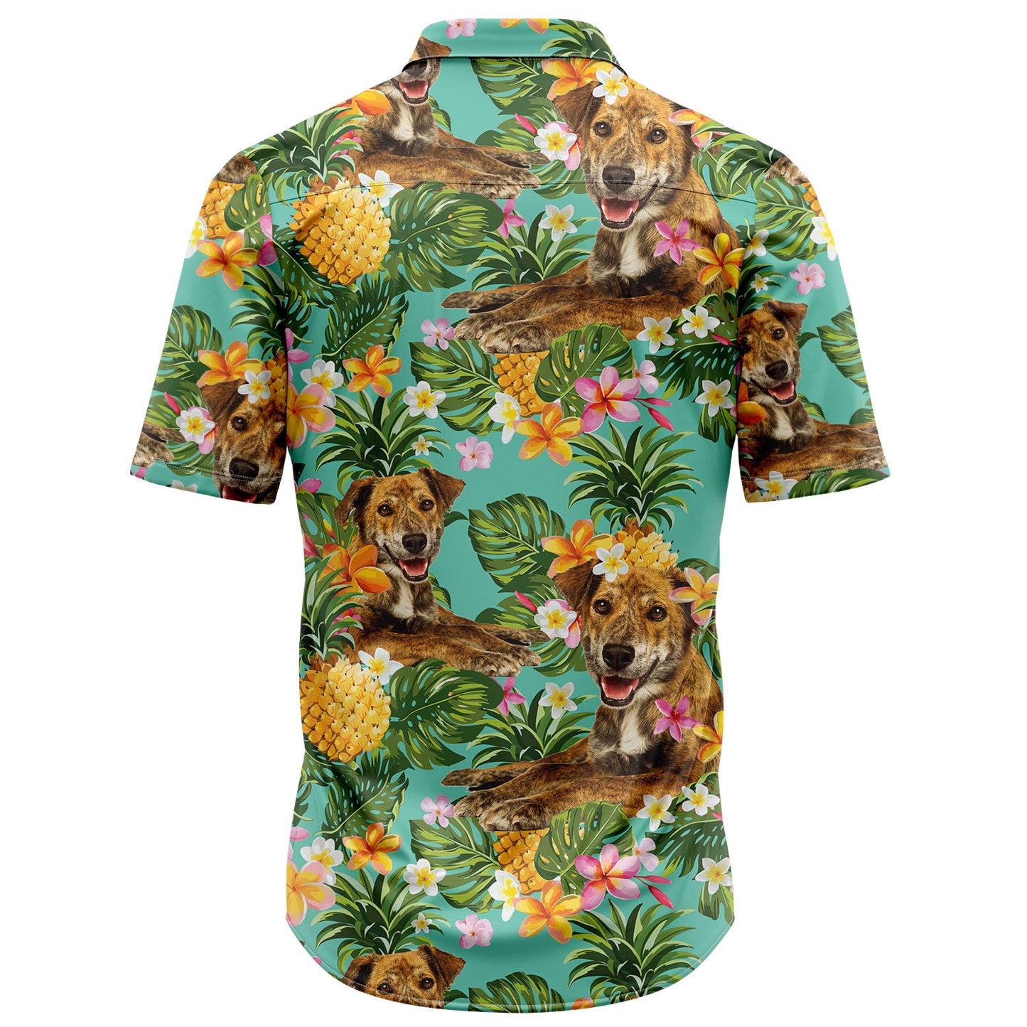 Tropical Pineapple Plott Hound H97082 Hawaiian Shirt