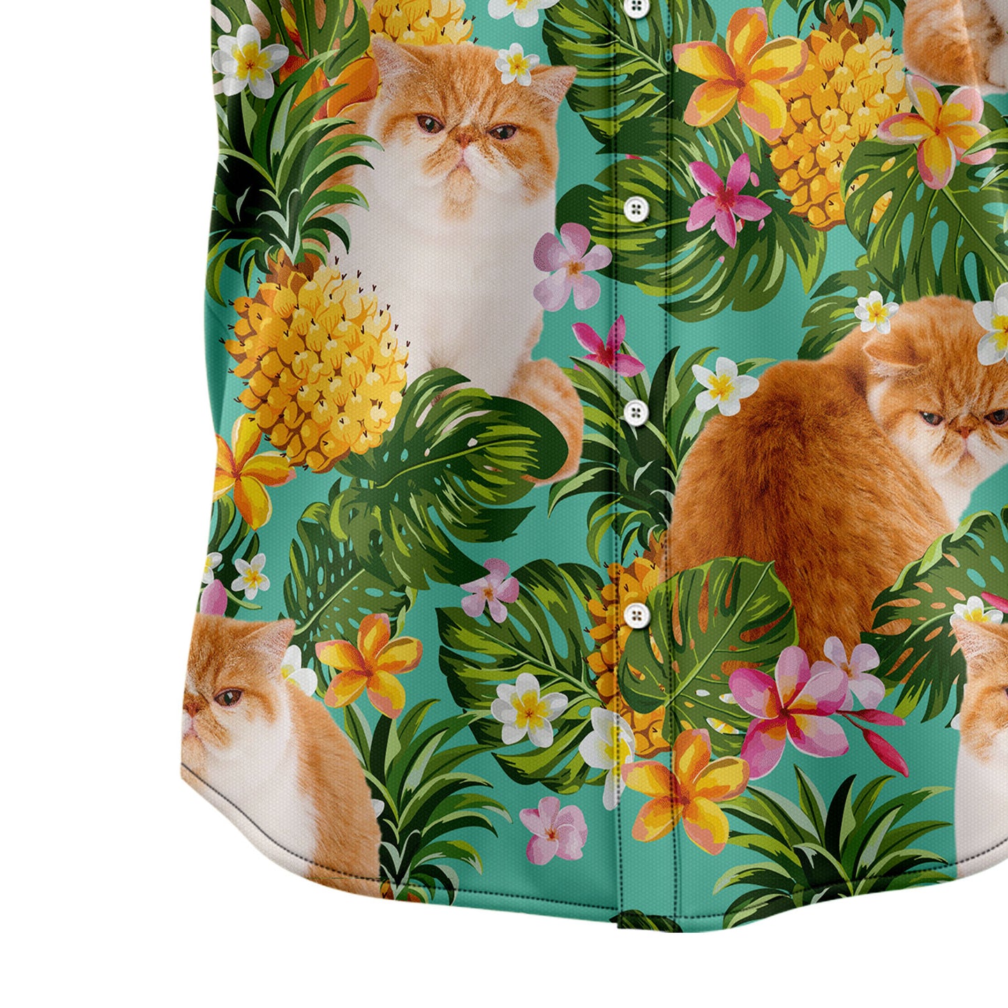 Tropical Pineapple Exotic Shorthair H67084 Hawaiian Shirt