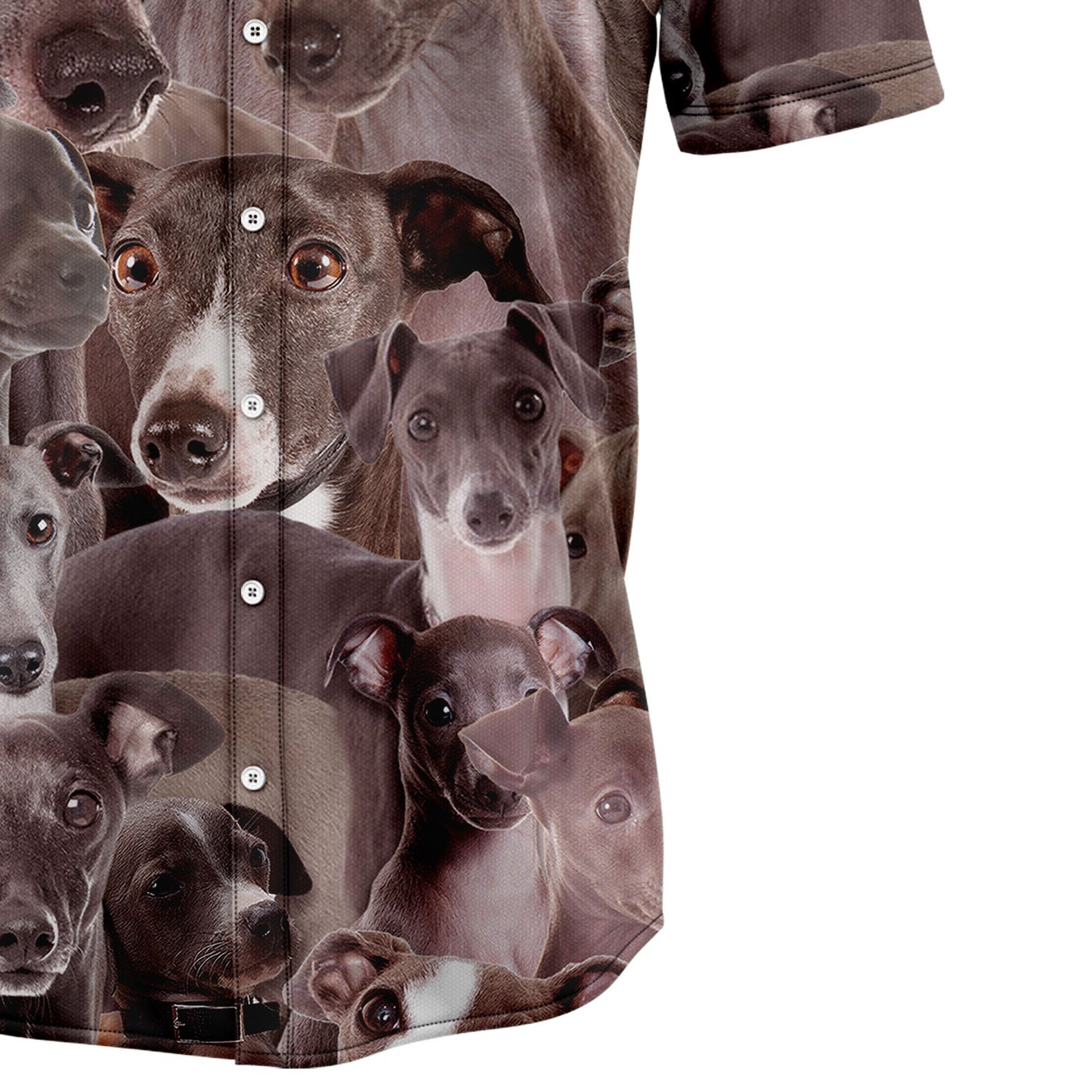 Italian Greyhound Awesome D0207 Hawaiian Shirt