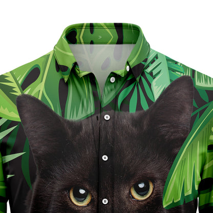 Black Cat Palm Leaves T1007 Hawaiian Shirt