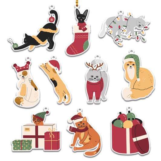 Vintage Christmas Cat Personalizedwitch Christmas Ornaments Set